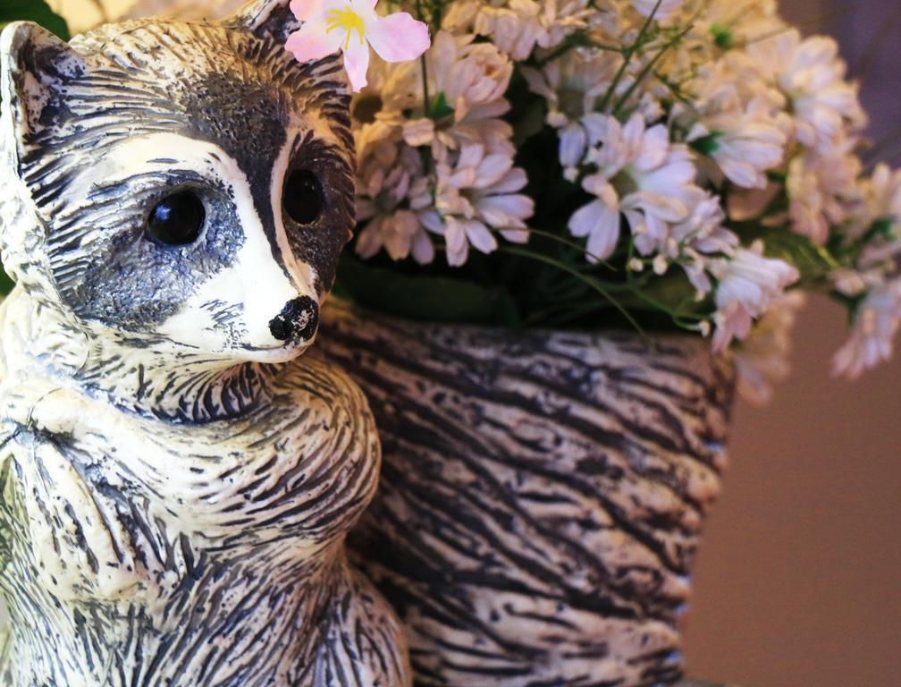 ヴィラカタシオ 野沢温泉村 エクステリア 写真